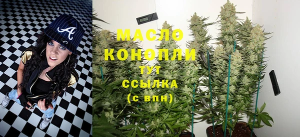 молекула духа Верхний Тагил