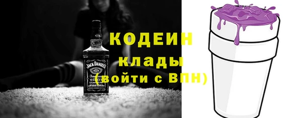 молекула духа Верхний Тагил