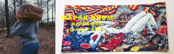 молекула духа Верхний Тагил