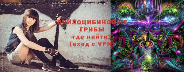 молекула духа Верхний Тагил