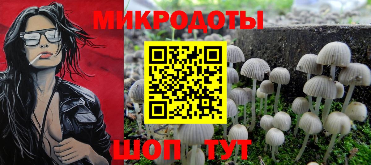 Псилоцибиновые грибы MAGIC MUSHROOMS Зеленогорск