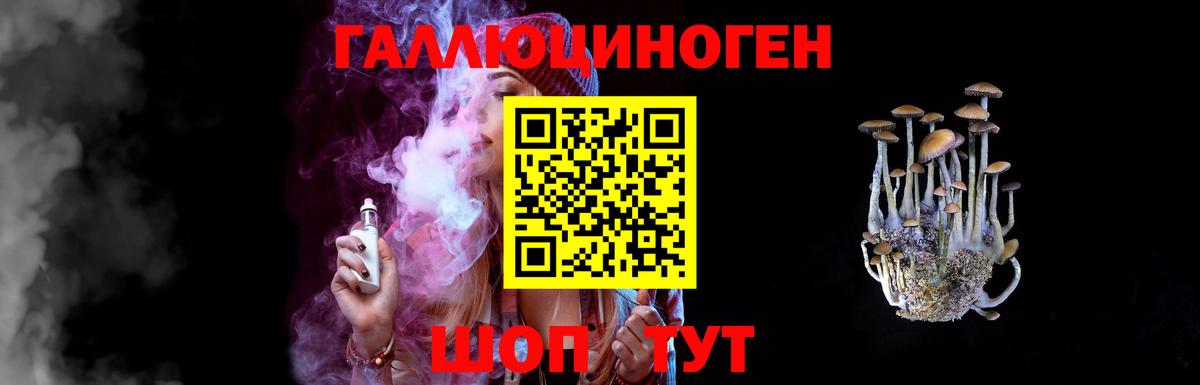 Псилоцибиновые грибы GOLDEN TEACHER  где купить наркотик  Зеленогорск  Вход с VPN 
